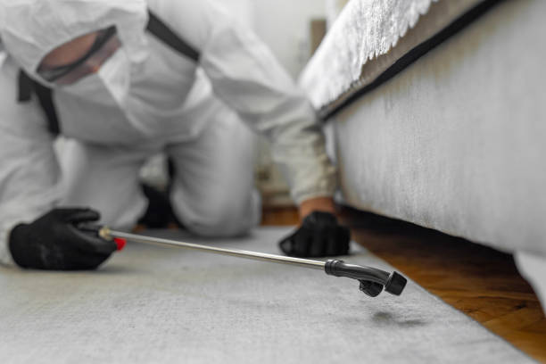 Professional Pest Control technician working in Hill County County, TX